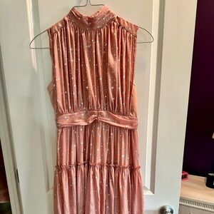 INA Sparkling Pink Dress (women’s) NWOT